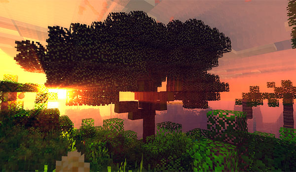 Ancient Trees Mod