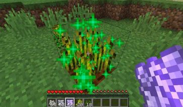 Fertilization Mod para Minecraft 1.14.4