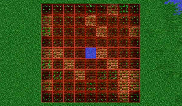 imagen donde vemos un huerto de 9x9 bloques, con un bloque central de agua que irriga todo el huerto.