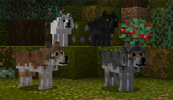 Better Dogs Texture Pack