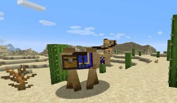 Camels Mod para Minecraft 1.16.5, 1.15.2 y 1.12.2