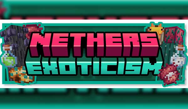 Nether's Exoticism Mod