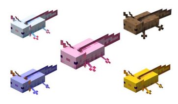 Ajolote Minecraft: ¿Cómo domesticarlo, qué colores hay y cuál es el más raro?