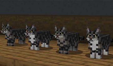 Better Cats Texture Pack para Minecraft 1.19, 1.18, 1.17 y 1.16