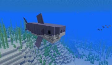 Sharks Mod para Minecraft 1.19.2, 1.18.2 y 1.16.5