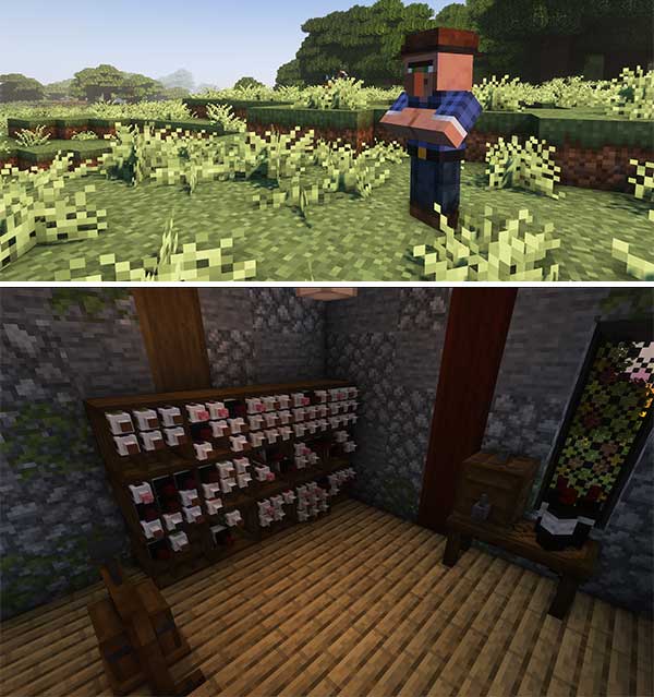 Imagen compuesta donde podemos ver el nuevo aldeano y los bloques decorativos que nos ofrecerá el mod Vinery.